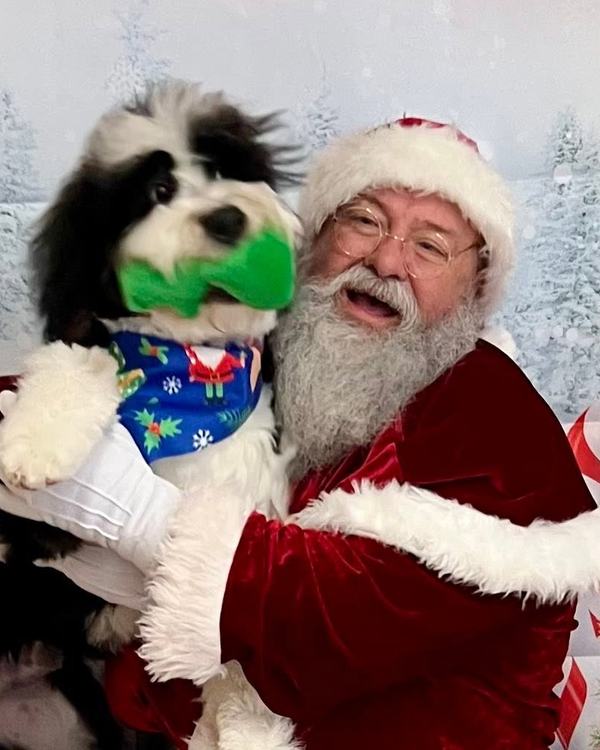 Santa laughing holding black/white puppy wearing green bandana, candid