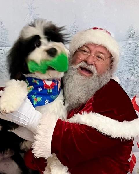 Santa laughing holding black/white puppy wearing green bandana, candid