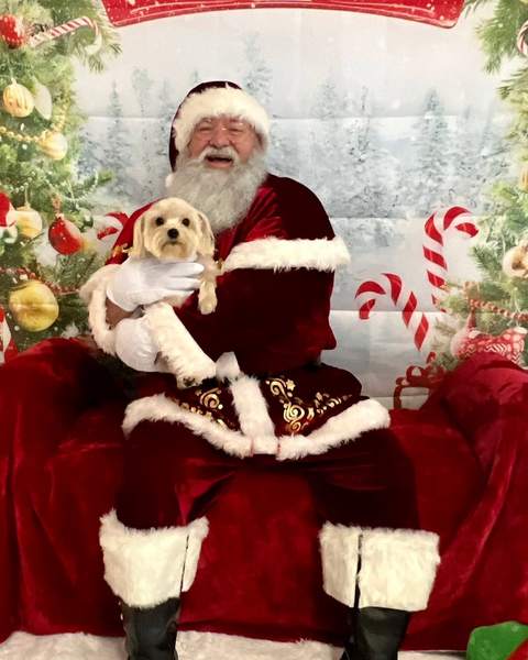 Santa holding small dog, north pole backdrop studio photo
