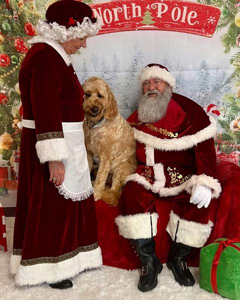 Mrs Claus and Santa each holding a small dog